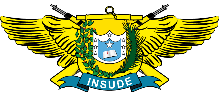Logo INSUDE